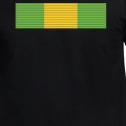 Army - Mexican Border Defense Medal Wo Txt X 300 T Shirt 40344278