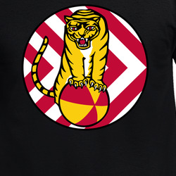 USAF - 430th EE Combat Squadron Wo Txt T Shirt 40344607