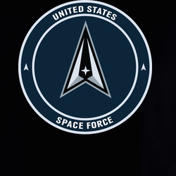 USSF - Space Force Seal X 300 Hoodie 40347186