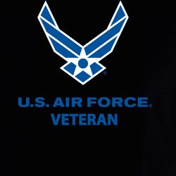 USAF Logo, TM Txt - U S Air Force - Veteran X 300 Hoodie 40347205