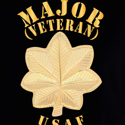USAF - Major - Veteran - USAF X 300 Hoodie 40347275