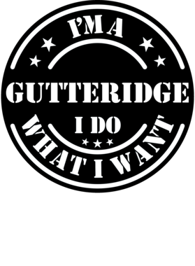 https://d1w8c6s6gmwlek.cloudfront.net/millionand1tees.com/overlays/307/319/30731926.png img