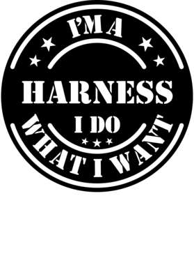 https://d1w8c6s6gmwlek.cloudfront.net/millionand1tees.com/overlays/307/350/30735046.png img