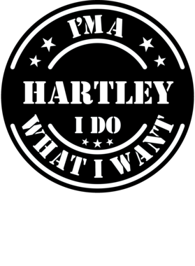 https://d1w8c6s6gmwlek.cloudfront.net/millionand1tees.com/overlays/307/353/30735393.png img