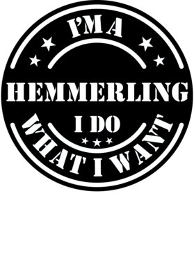 https://d1w8c6s6gmwlek.cloudfront.net/millionand1tees.com/overlays/307/383/30738340.png img