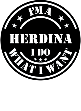 https://d1w8c6s6gmwlek.cloudfront.net/millionand1tees.com/overlays/307/385/30738576.png img