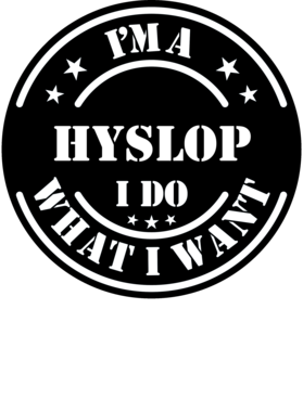 https://d1w8c6s6gmwlek.cloudfront.net/millionand1tees.com/overlays/307/402/30740236.png img