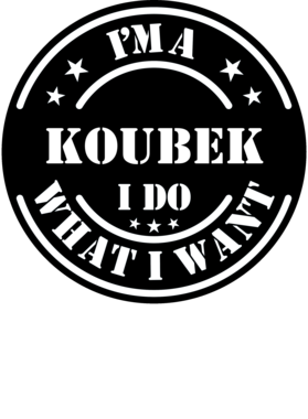 https://d1w8c6s6gmwlek.cloudfront.net/millionand1tees.com/overlays/307/803/30780307.png img