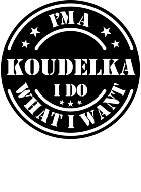 https://d1w8c6s6gmwlek.cloudfront.net/millionand1tees.com/overlays/307/803/30780308.png img