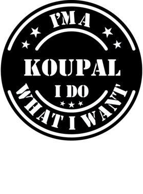 https://d1w8c6s6gmwlek.cloudfront.net/millionand1tees.com/overlays/307/803/30780313.png img