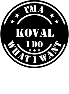 https://d1w8c6s6gmwlek.cloudfront.net/millionand1tees.com/overlays/307/803/30780320.png img