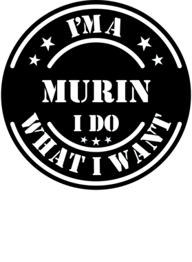 https://d1w8c6s6gmwlek.cloudfront.net/millionand1tees.com/overlays/308/000/30800094.png img