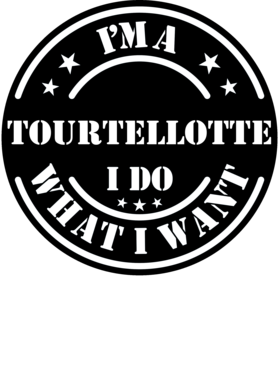 https://d1w8c6s6gmwlek.cloudfront.net/millionand1tees.com/overlays/308/584/30858448.png img