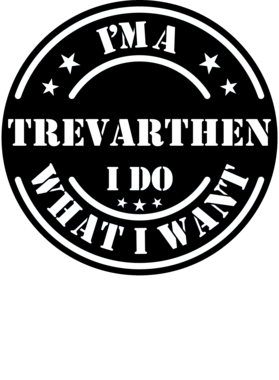 https://d1w8c6s6gmwlek.cloudfront.net/millionand1tees.com/overlays/308/587/30858797.png img