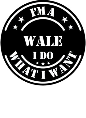 https://d1w8c6s6gmwlek.cloudfront.net/millionand1tees.com/overlays/308/661/30866191.png img