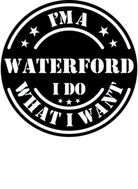 https://d1w8c6s6gmwlek.cloudfront.net/millionand1tees.com/overlays/308/667/30866725.png img