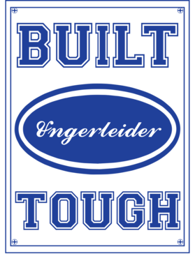 image overlay