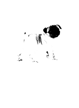 image overlay