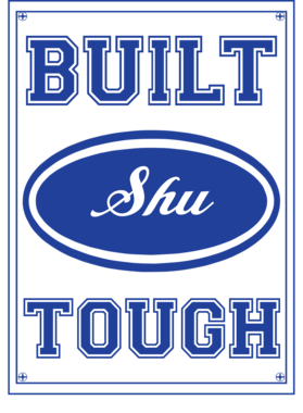 image overlay
