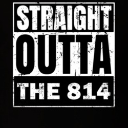 31664954