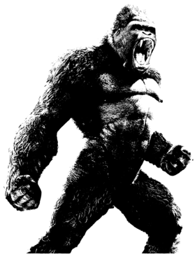 image overlay