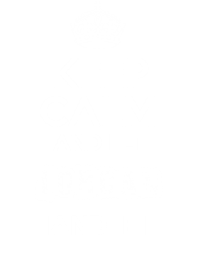 image overlay