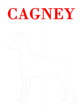 https://d1w8c6s6gmwlek.cloudfront.net/mixologytees.com/overlays/367/579/36757941.png img