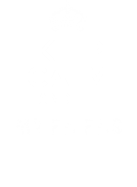 image overlay