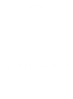 https://d1w8c6s6gmwlek.cloudfront.net/mixologytees.com/overlays/368/556/36855665.png img