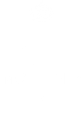 image overlay