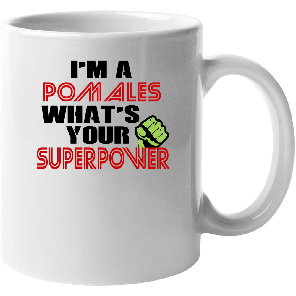 Im A Pomales Whats Your Superpower Funny Last Name Mug