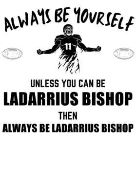 image overlay