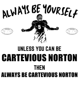 https://d1w8c6s6gmwlek.cloudfront.net/monikertshirts.com/overlays/393/781/39378104.png img