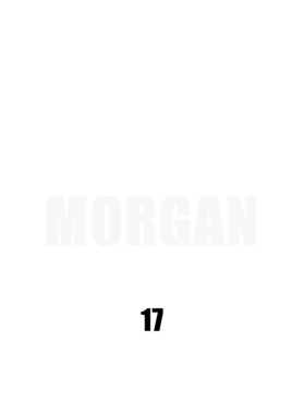image overlay