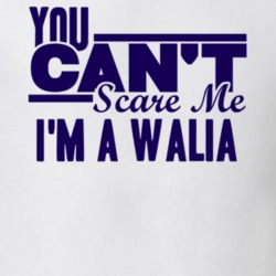 You Cant Scare Me Im A Walia Last Name T Shirt 10578891