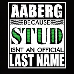 Aaberg Because Stud Official Last Name Funny T Shirt 12990735