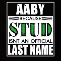 Aaby Because Stud Official Last Name Funny T Shirt 12990754