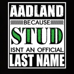 Aadland Because Stud Official Last Name Funny T Shirt 12990773