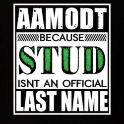 Aamodt Because Stud Official Last Name Funny T Shirt 12990928