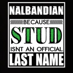 Nalbandian Because Stud Official Last Name Funny T Shirt 13015387