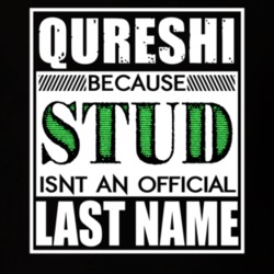 Qureshi Because Stud Official Last Name Funny T Shirt 13043338