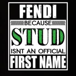 Fendi Because Stud Official First Name Funny T Shirt 13548265