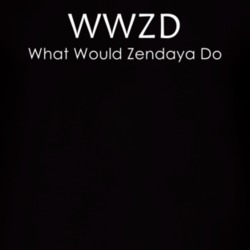 What Would Zendaya Do Popular T Shirt 5831483