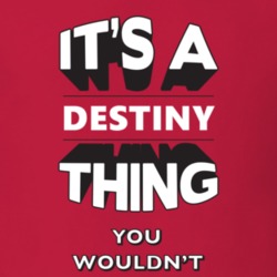 Its A Destiny Thing Fun Graphic Personalized Name T Shirt 9307616