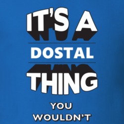 Its A Dostal Thing Fun Graphic Personalized Name T Shirt 9309355