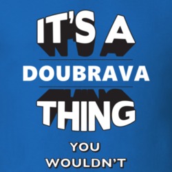 Its A Doubrava Thing Fun Graphic Personalized Name T Shirt 9309381
