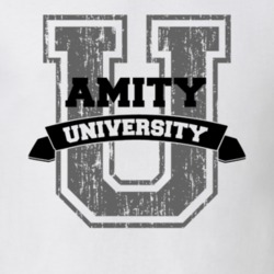 Amity University Funny Name T Shirt 9691733