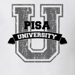 Pisa University Funny Name T Shirt 9713208