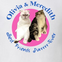 Olivia And Meredith Best Friends Purrrrr Ever Deadpool Ryan Reynolds Taylor Swift Cats T Shirt 34172128