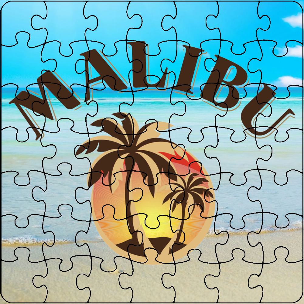 Malibu Rum Cocktail Party Drinking California Beach Alcohol Logo Fan
